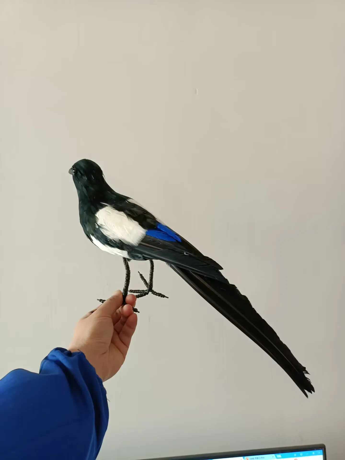 big creative simulation bird model foam&feather magpie model gift about 45cm d0561