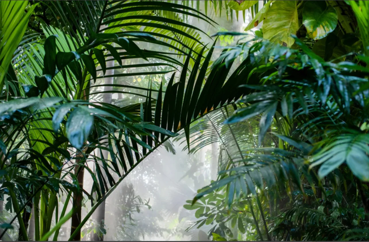 Custom Self adhesive wallpaper tropical rainforest green leaves hand-painted plant animal  tapestry home decoration 3d wallpaper