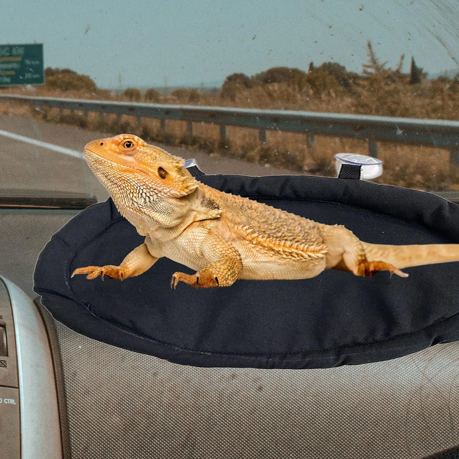 سرير نوم سحلية، وسادة ناعمة على شكل حيوان صغير، ليوبارد أبو بريص للحيوانات الأليفة الصغيرة #3