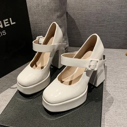 Women's Waterproof Platform Chunky Heels Fall New Square Head Shallow Mouth Temperament Mary Jane Single Shoes