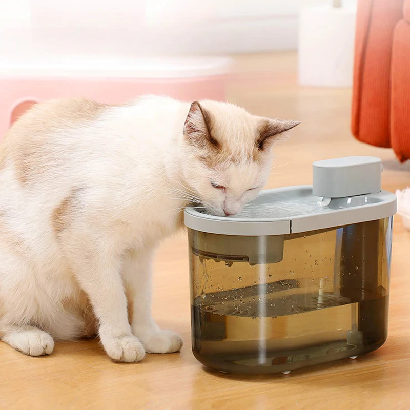 Wireless Convenience Water Fountain for Cats, Replacement Filters, Transparent Drinking Bowl, Automatic Cat Accessory