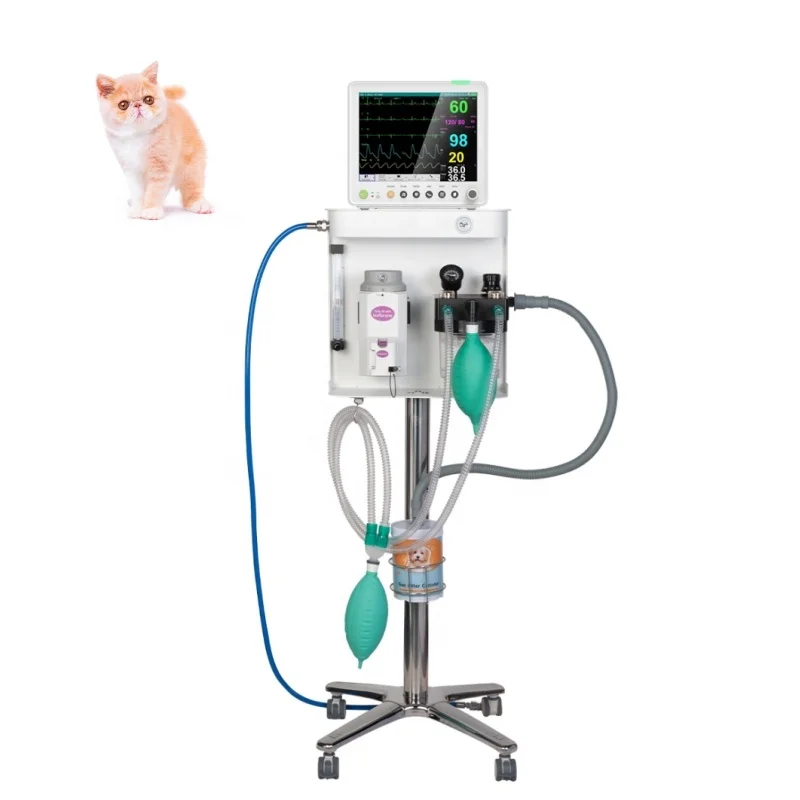 Veterinary Instrument Pet Clinic Anestesia- Machine Portable Veterinary Anesthesia- Machine with Vaporizer