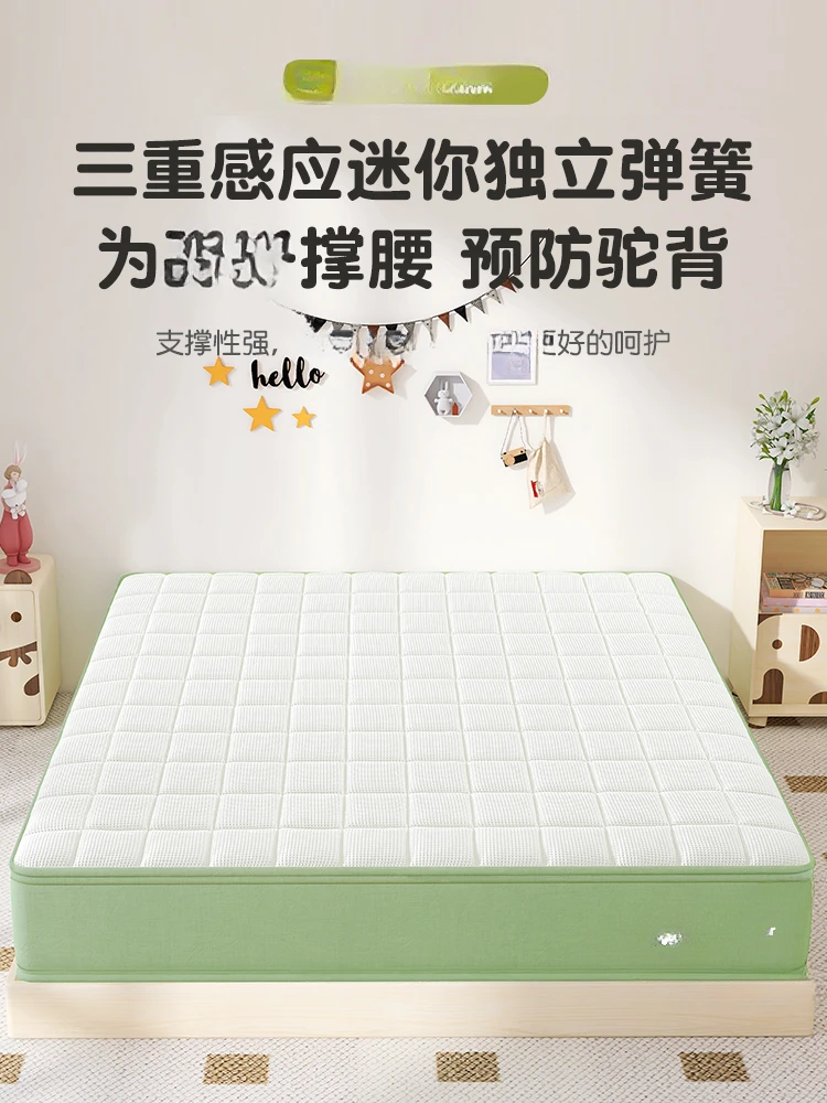 NEW Paile Bear Spinal Protection Mattress 1.2 Formaldehyde free Natural Jute Coconut Hard Independent Spring 1.5 meters