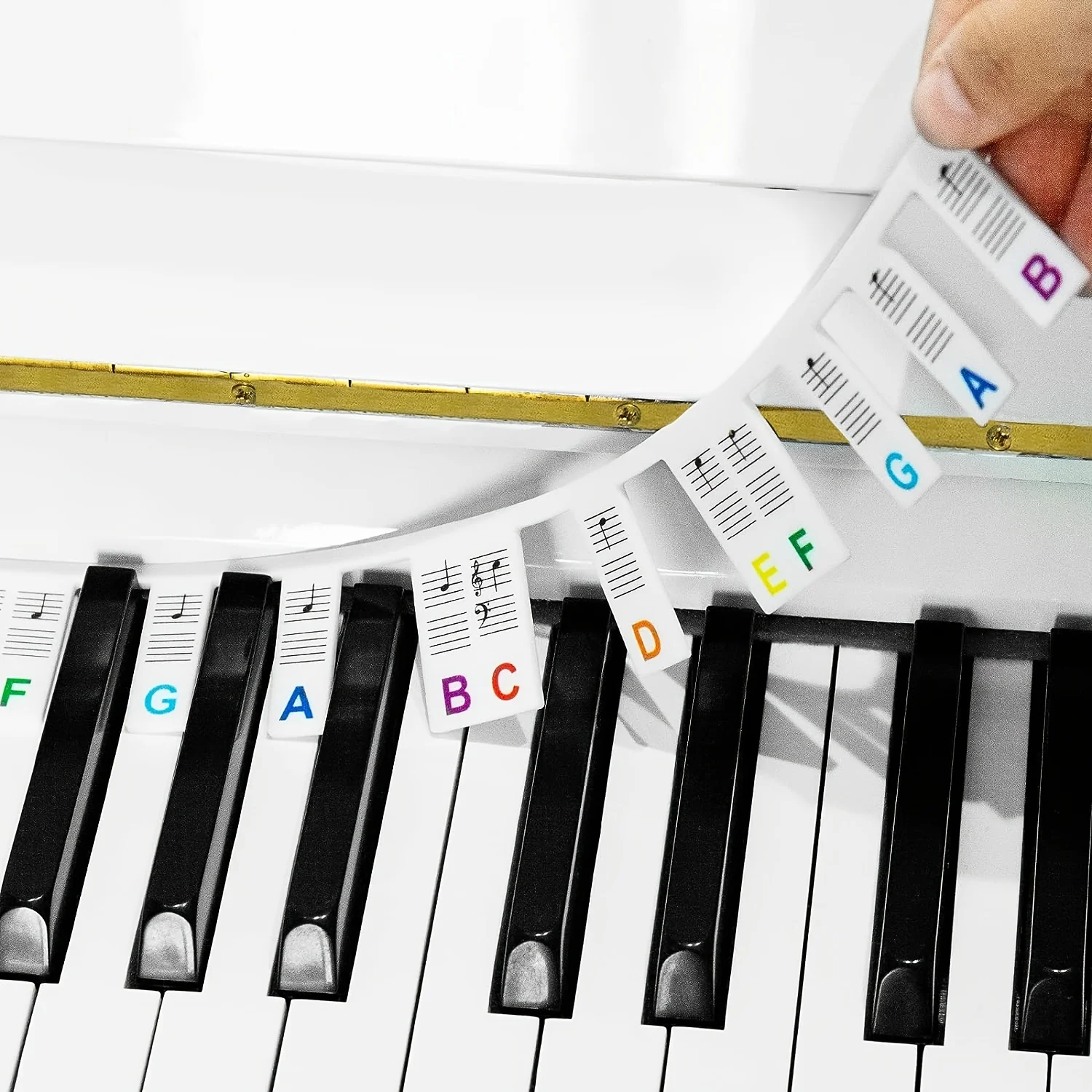 Piano Keyboard Note Labels Removable -88Key Full Size Silicone Piano Key Stickers Guide for Beginners Reusable Comes