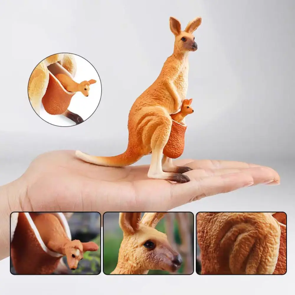 โมเดลสัตว์ป่าจำลอง PVC รูปปั้นสะสม จิงโจ้ แอคชั่นฟิกเกอร์ งานฝีมือ การ์ตูน จิงโจ้ป่าจำลอง