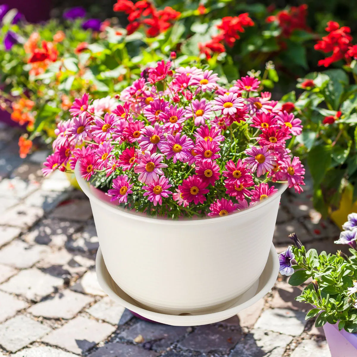 

Colorful Plastic Plant Pots Thick Resin Material With Drainage Holes Herb Garden Flower Nursery Succulent Pots Wedding Baby