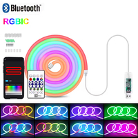 5V USB RGB IC Neon LED Strip 3M 5M IP65 RGBIC Neon Lamp Tape Bluetooth Smart Remote Control DIY Neon Decoration Lighting