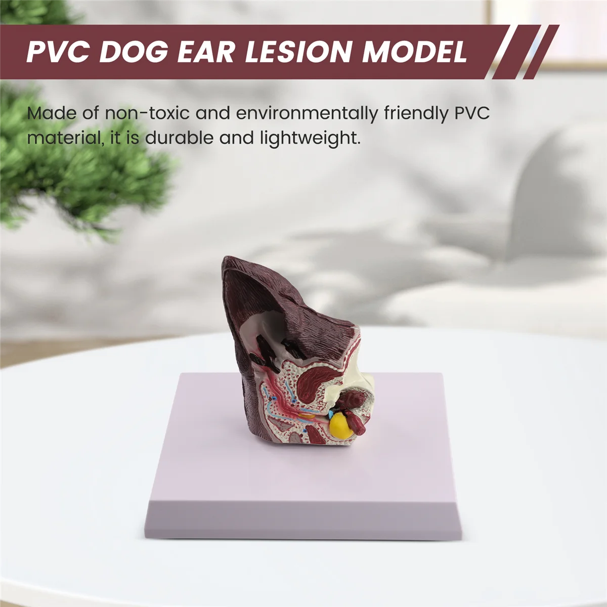 Gfc-cachorro lesão da orelha modelo de anatomia animal ciência veterinária auxiliar ensino canina pesquisa remessa direta, orelhas do cão doente