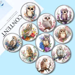 Baby owl Bird with flower Nursery painting 12mm/18mm/20mm/25mm Round photo glass cabochon demo flat back Making findings
