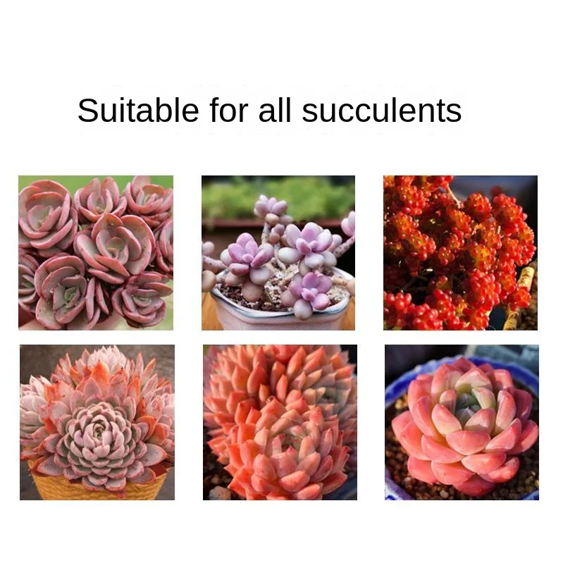 Succulent plant color enhancement treasure nutrient solution household flower color aid anti-fading care solution