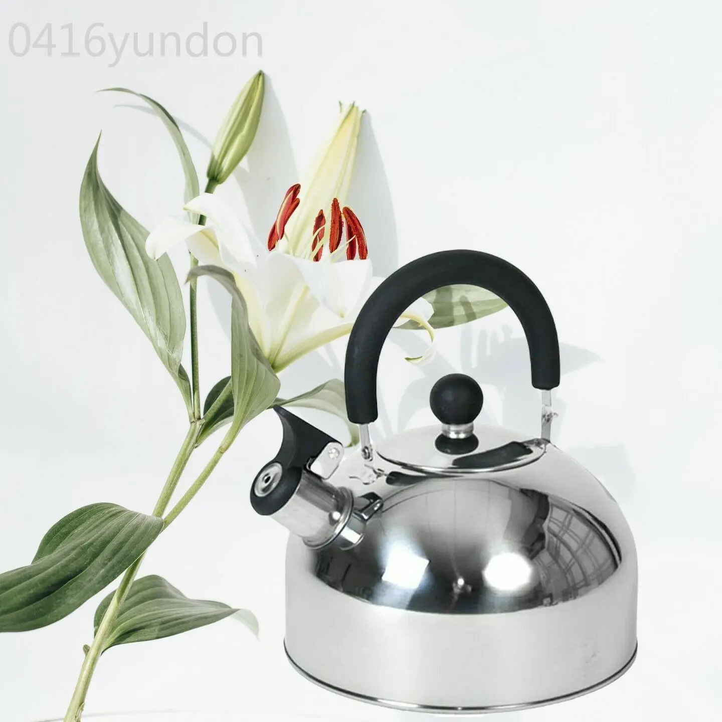 Maxia Market Pava kettle with whistle stainless steel 2.5L for electric Gas and induction cooker