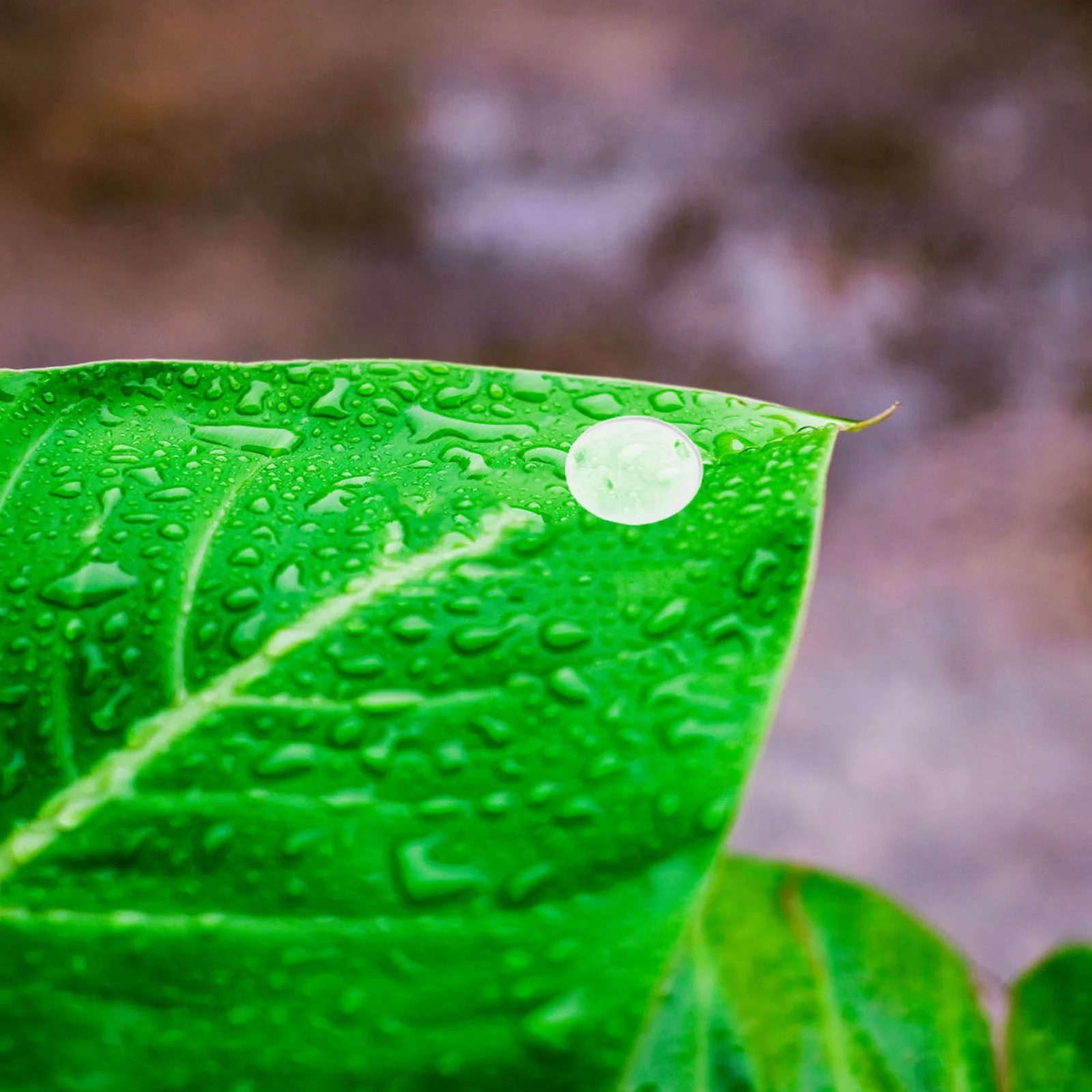 

1050Pcs Simulation Dew Decors Clear Resin Dewdrop Embellishments 3-6Mm Self-Adhesive Resin Water Droplets for DIY Crafts