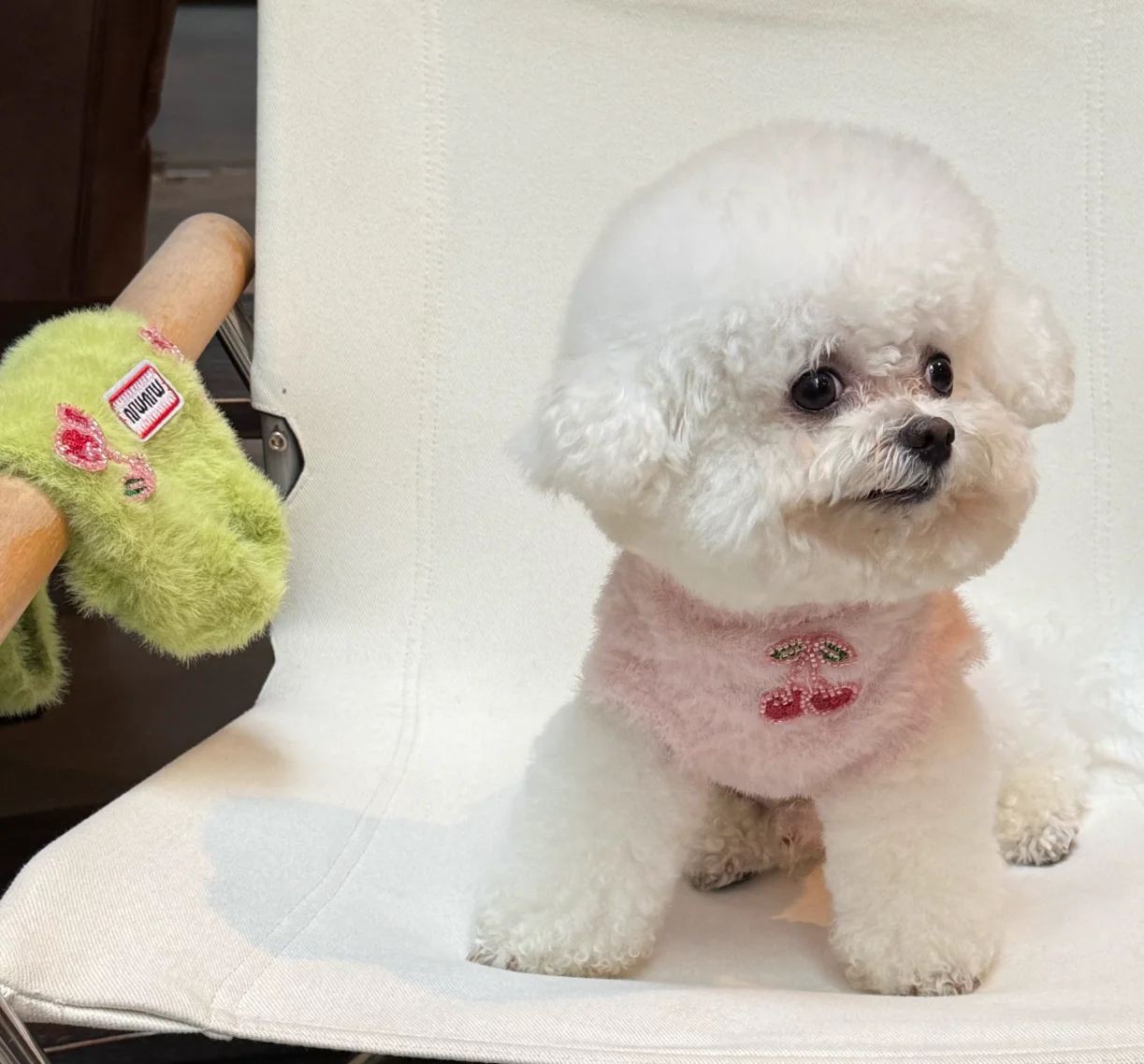

Sweet Cherry Print Dog Hoodie | Premium Furry Pet Apparel for Small Breeds in White, Green & Pink