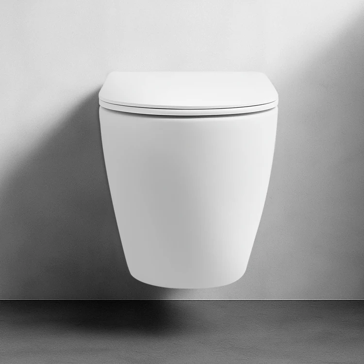 2026 Sleek Modern Durable Ceramic Anti-Smell Glaze Premium Sanitary Ware Home Hotel Wall Mounted Toiletpromote sales