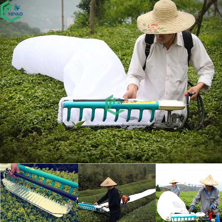 Electric One Man Tea Picking Harvesting Machine Petrol Tea Leaf Plucking Harvester