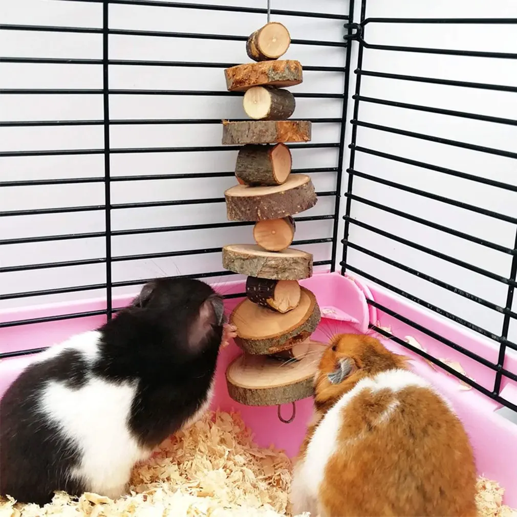 1 pc stile casuale Pet masticare giocattolo legno di mela spiedini molari giocattoli da masticare per piccoli animali criceto coniglio uccello cavie cincillà