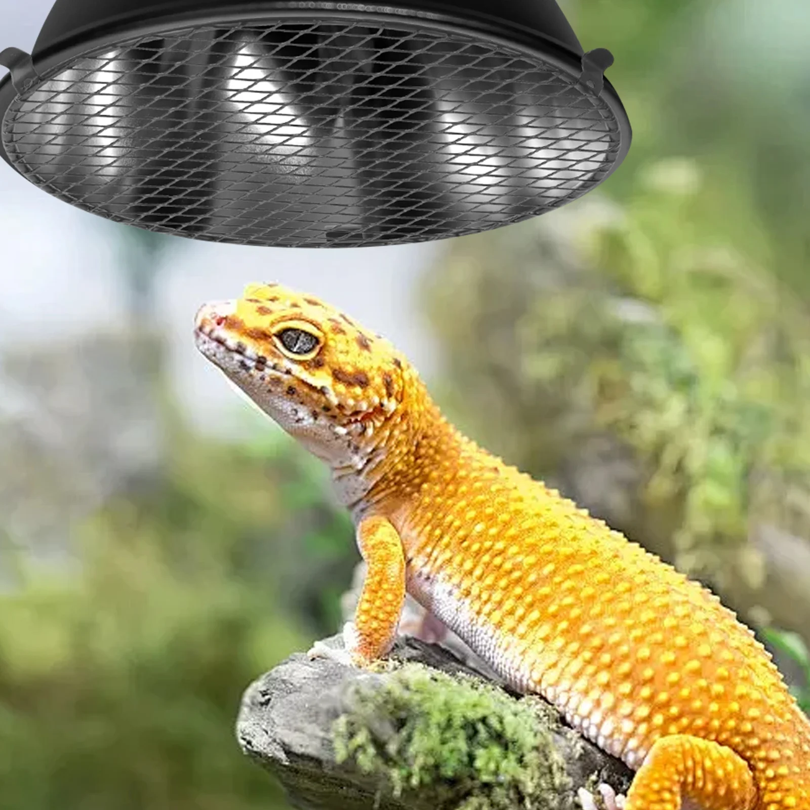 

3Pcs Reptile Heat Lamp Guard Metal Mesh Protective Cover Cage Lamp Anti-Scald Shield Enclosure Safety Reptile Cage Heat Shield