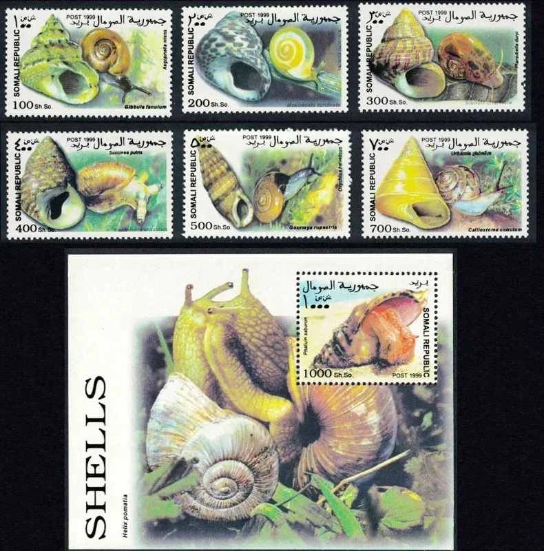 6 + 1, selo postal da Somália, concha e caracol de 1999, selos originais reais para coleção, MNH