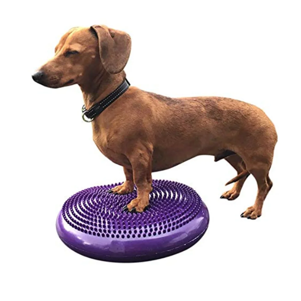 Pet Dog Balance Round Ball Sports Fitness Rehabilitation Hip And Knee Surgery After Muscle Atrophy Balance Agility