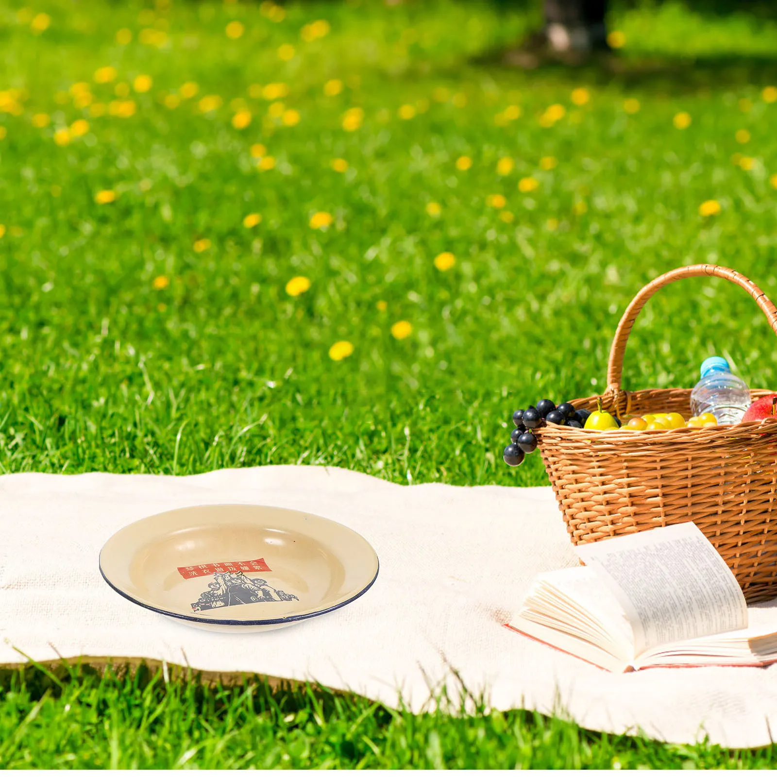 

2pcs Enamel Plates Stackable Camping Dishes Shallow Design For Cold Food Baking Tray Appetizer Serving Plate Tableware Kitchen