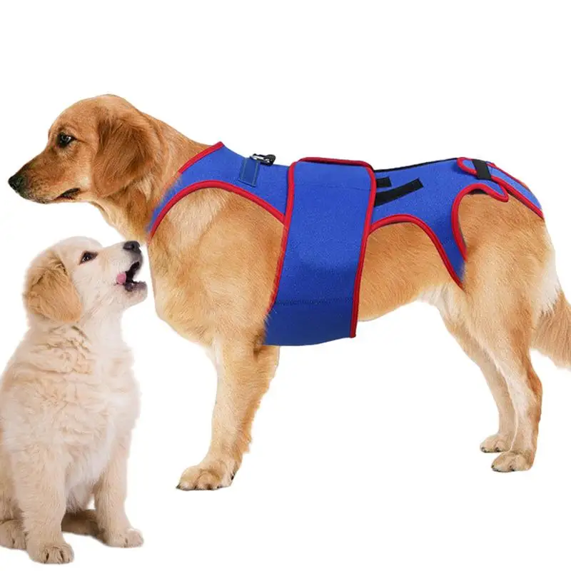 Dog Back Brace Pet Support And Rehab Harness Pet Back Support For Dogs D-ring And Reflective Strips Back Protector Support Helps