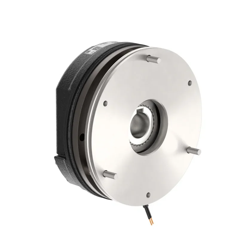 DZS3-300 Spring-applied industrial electromagnetic brake