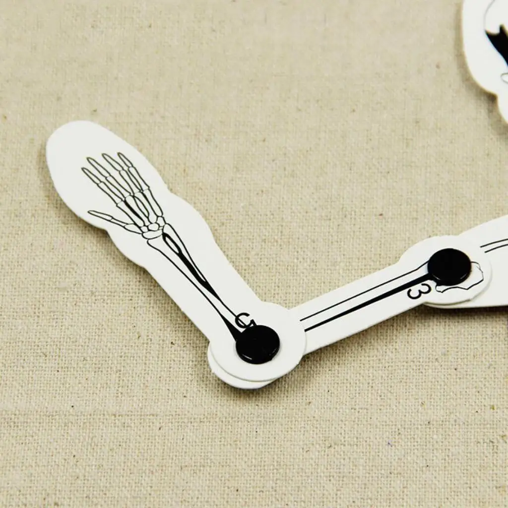 DIY Assembly Skeleton Model Educational Science Kit Human Bone Structure Experiment Toy for Learning