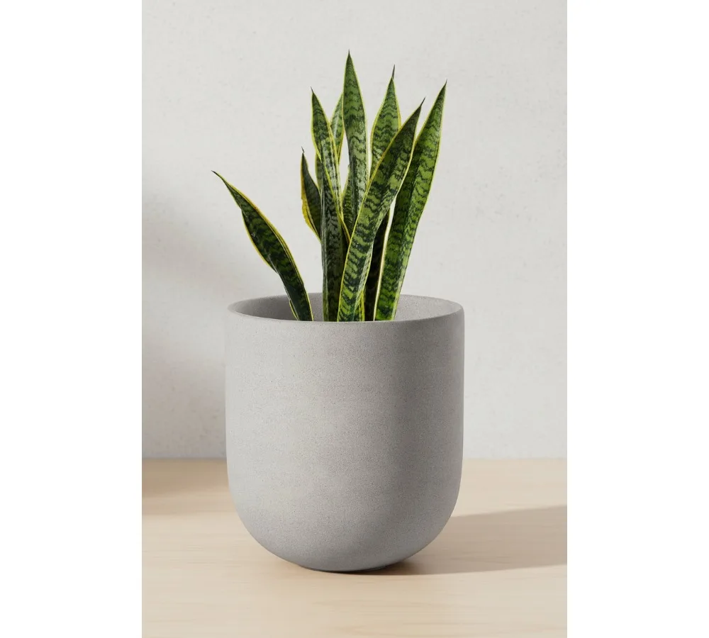 

10-дюймовый керамический горшок для растений с дренажным отверстием, кашпо для цветов в помещении и на открытом воздухе для домашнего сада и офиса, нейтральный серый цвет