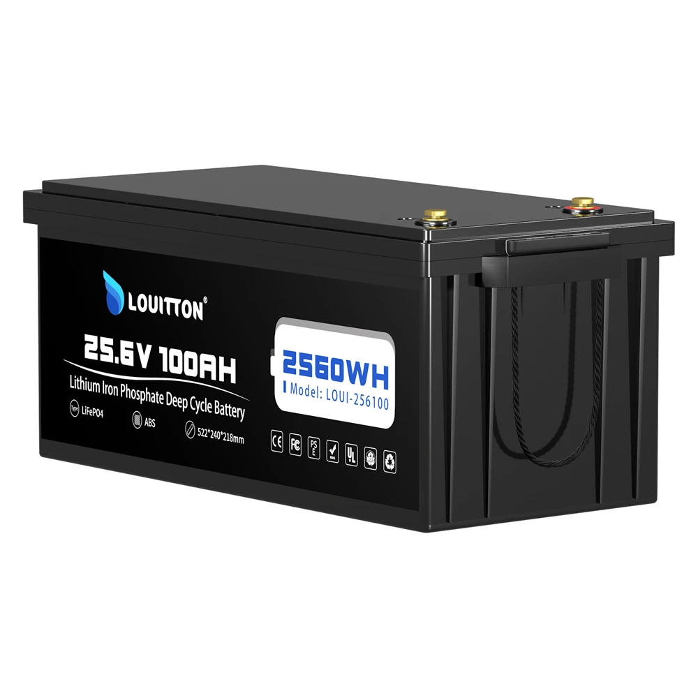 24V 100Ah Lifepo4 Battery Pack Rechargeable Solar Battery 24V 60AH With BMS For RV Boat Motor Outdoor Inverter