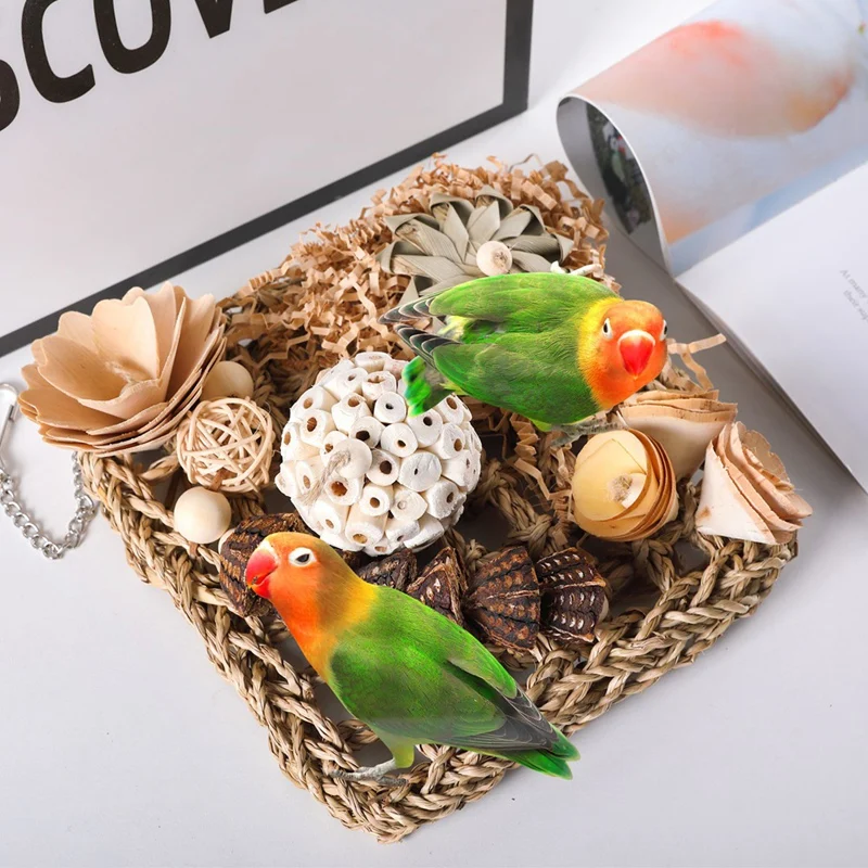 Jouets pour oiseaux, mur d'escalade, pour perruche, perroquet, calopsitte, conure, inséparable