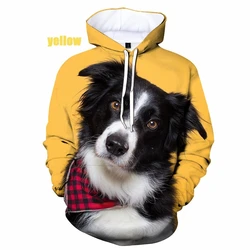 Mężczyźni kobiety śmieszne Border Collie psy bluzy z kapturem z nadrukiem 3d Border Collie pies pulower z kapturem bluza