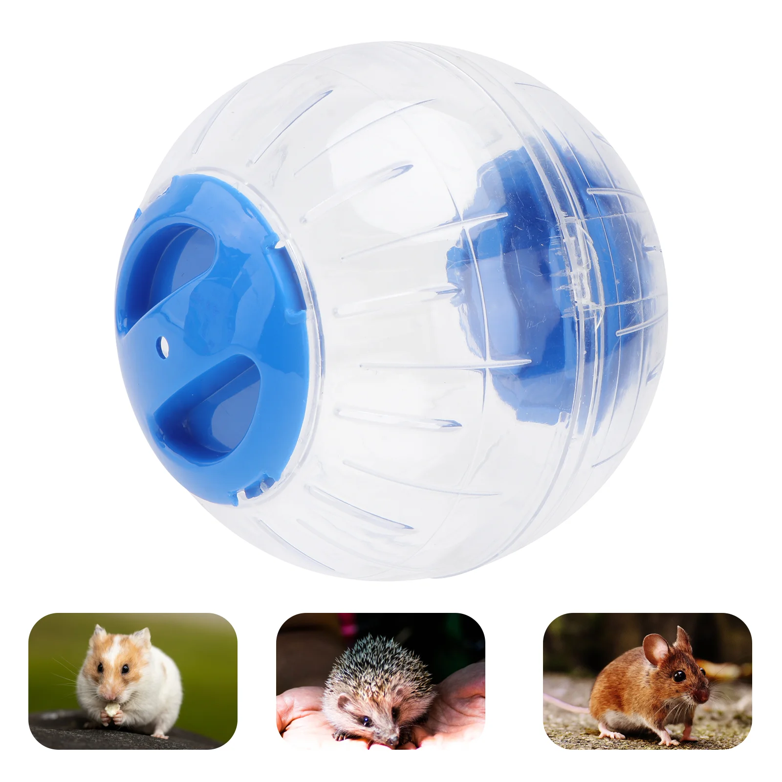 Transparent Pet Hamster Exercise Ball Mini Plastic Toys (Blue) Pet Toys Hamster Toys Hamster Mini
