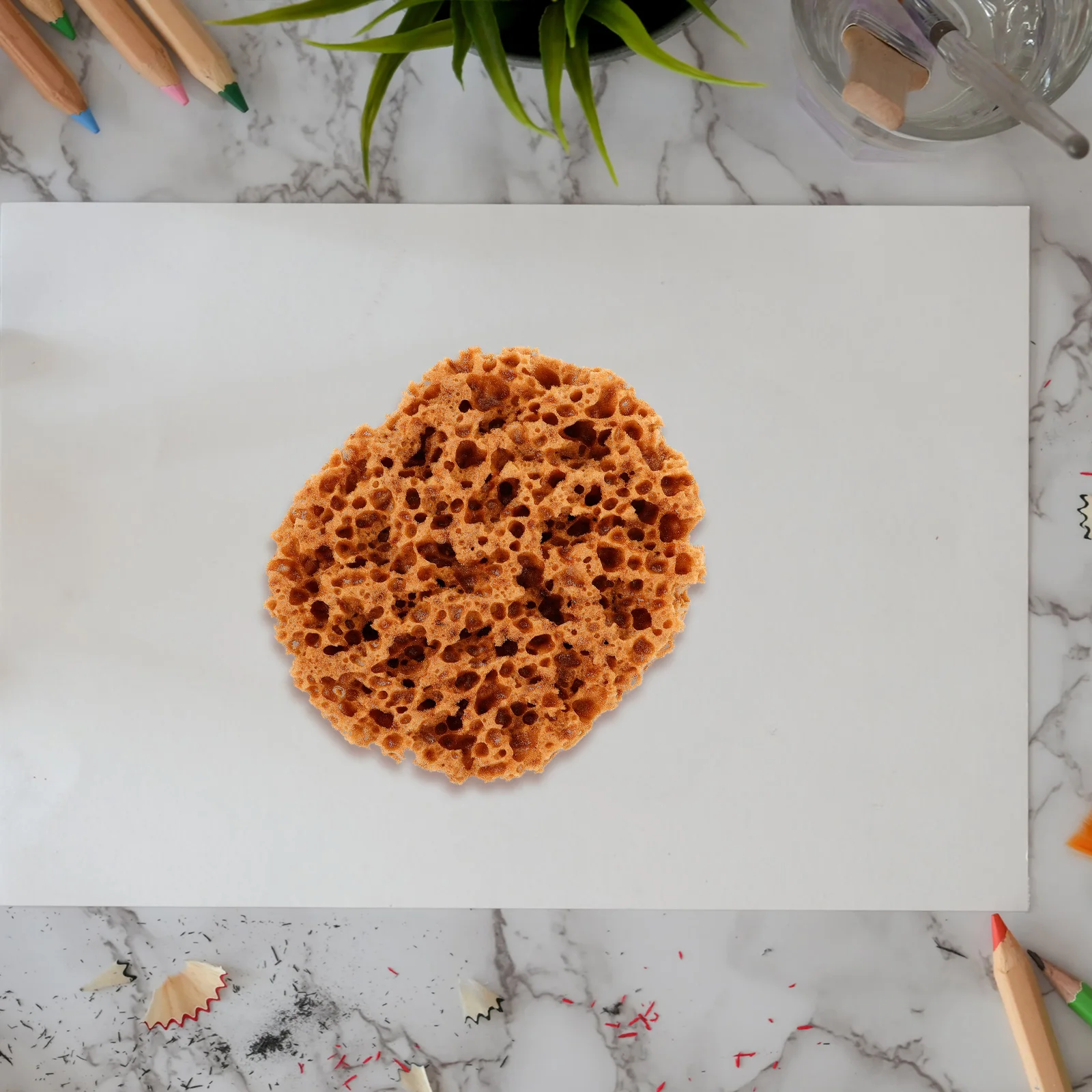 

Seaweed Sponge Tool Natural Algae Sponges for Painting Drywall Texture Patch Paint Sponges Sea Sponge Wall Furniture DIY