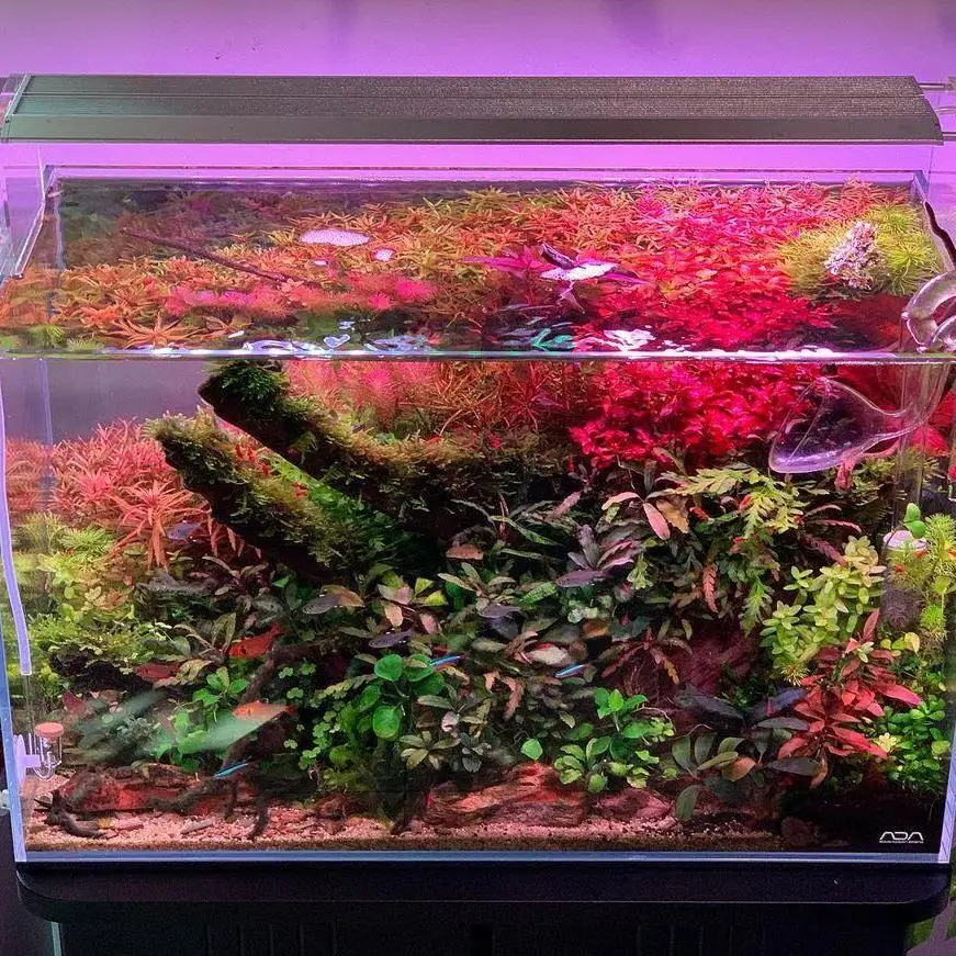 Week Aqua Dimmable LED Fish Tank Light With 4-Channel Control RGB+UV Light for Freshwater Plants