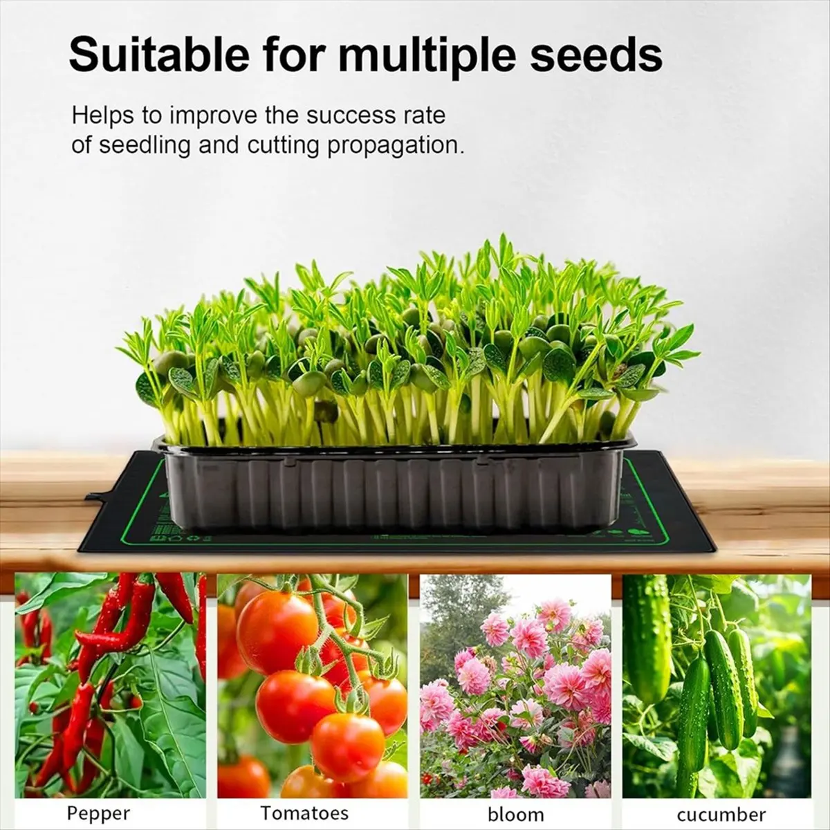 ABPP 50cm X 25cm Waterproof Nursery Heating Mat, Warm Hydroponic Heating Mat Suitable for Germination and Cutting US Plug