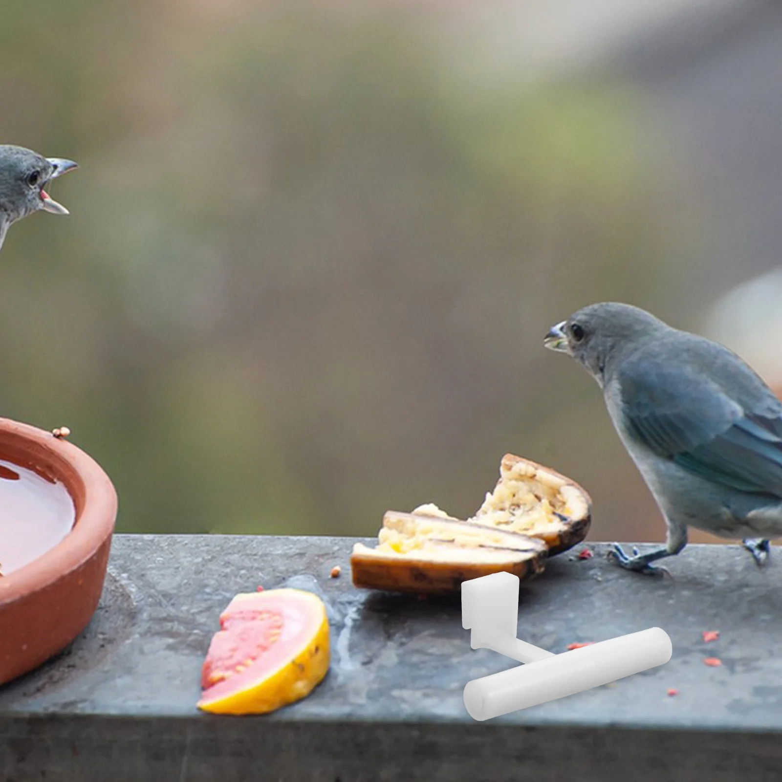 

5Pcs Bird Feeder Perch Acrylic Buckle Design Sturdy Stand Clear Accessories for Bird Feeding Cage