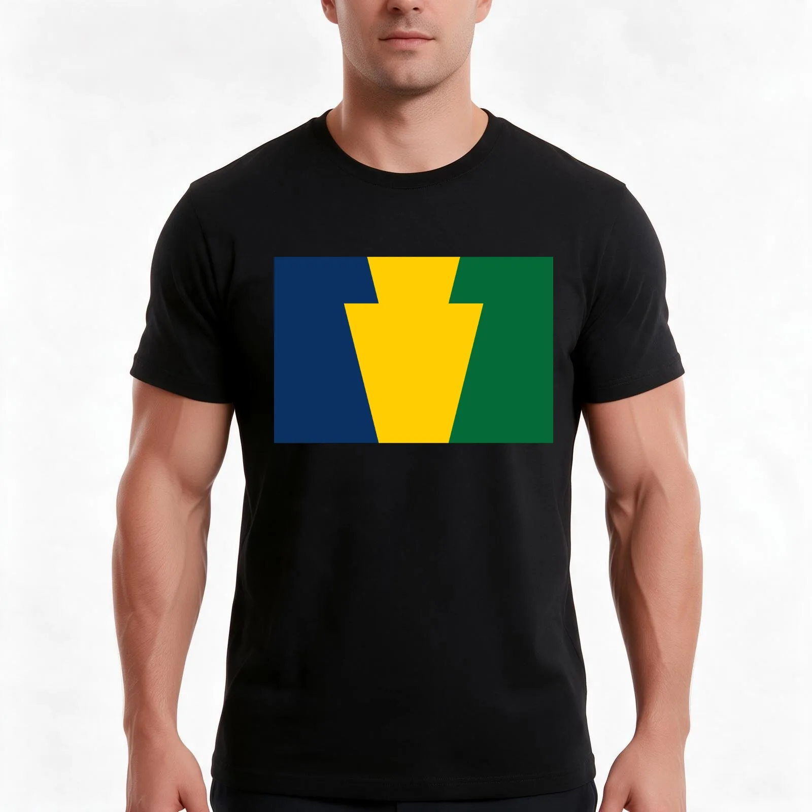 PA Keystone Flag T-Shirt, Summer Casual Cotton Tee, Oversized Streetwear Tops, Vintage Graphic Print, Loose Fit Short Sleeve