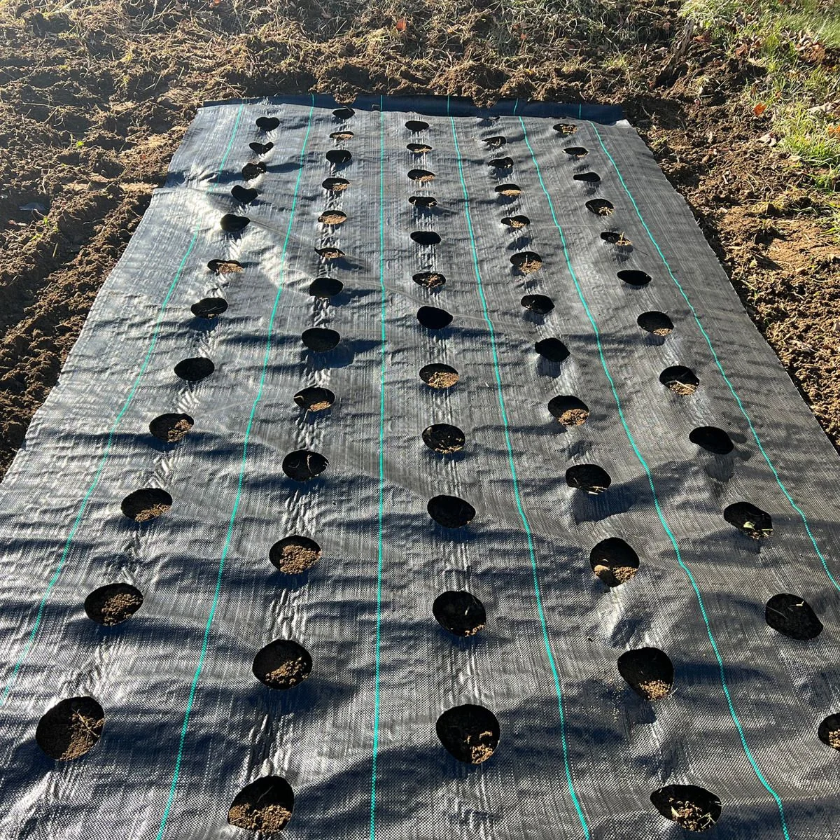 2025Agricultural Plastic  Woven Anti-Grass Weed Block Ground Cover Control Barrier Mat Landscape Fabric