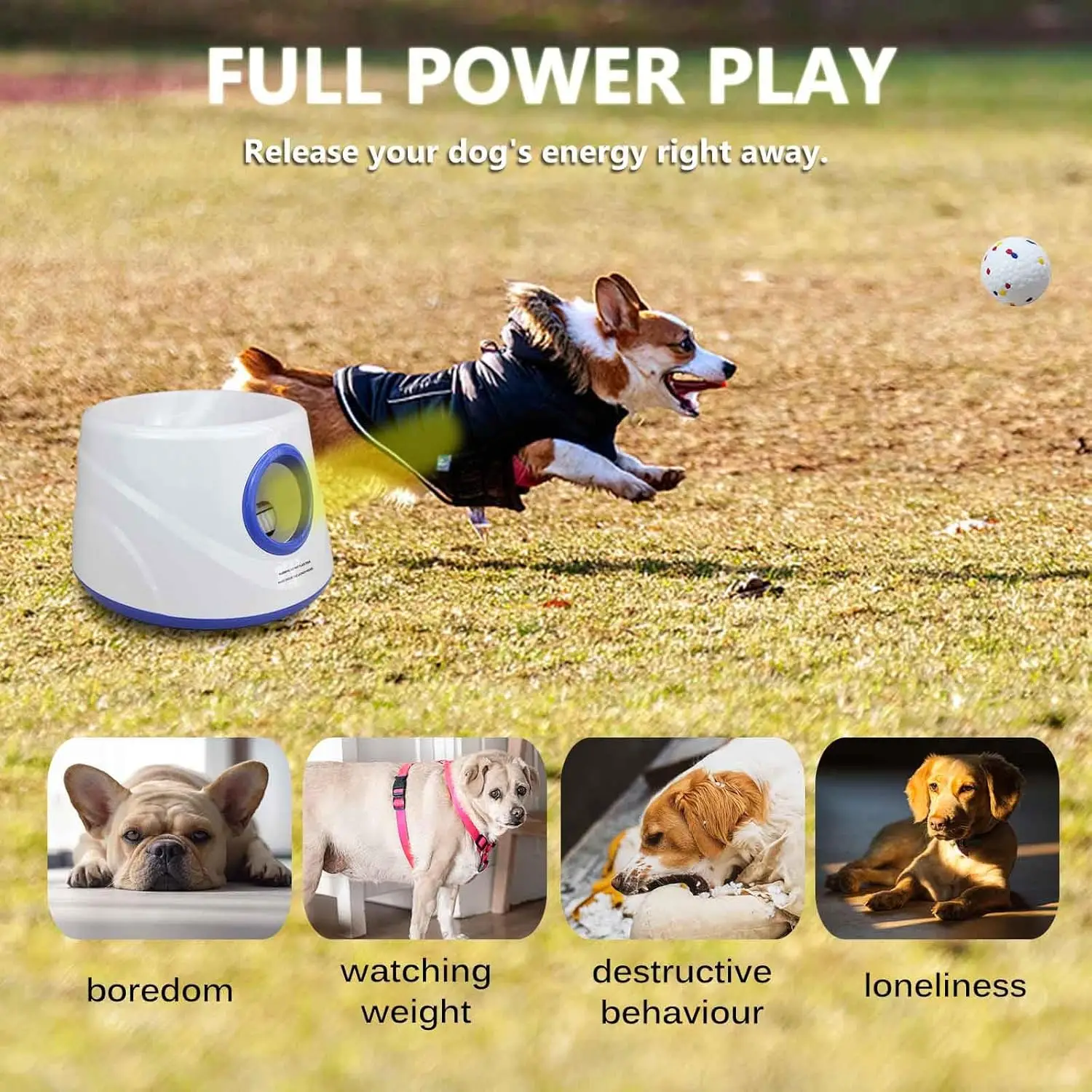 6Pcs Etpu Dog Balls…