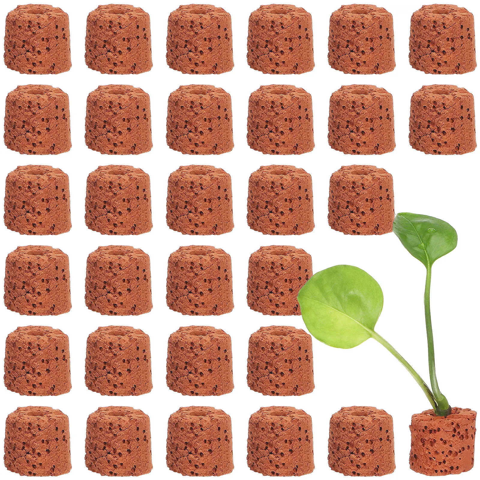 30Pcs Water Plant Fixed Ring P - Planted Aquarium Without Fish ulasan dan harga