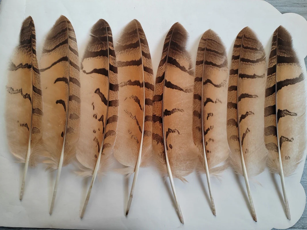 

10 шт. натуральных перьев совы 28-35 см для перьевых ручек, вееров, головных уборов, аксессуаров, праздничного декора, высококачественные перья совы