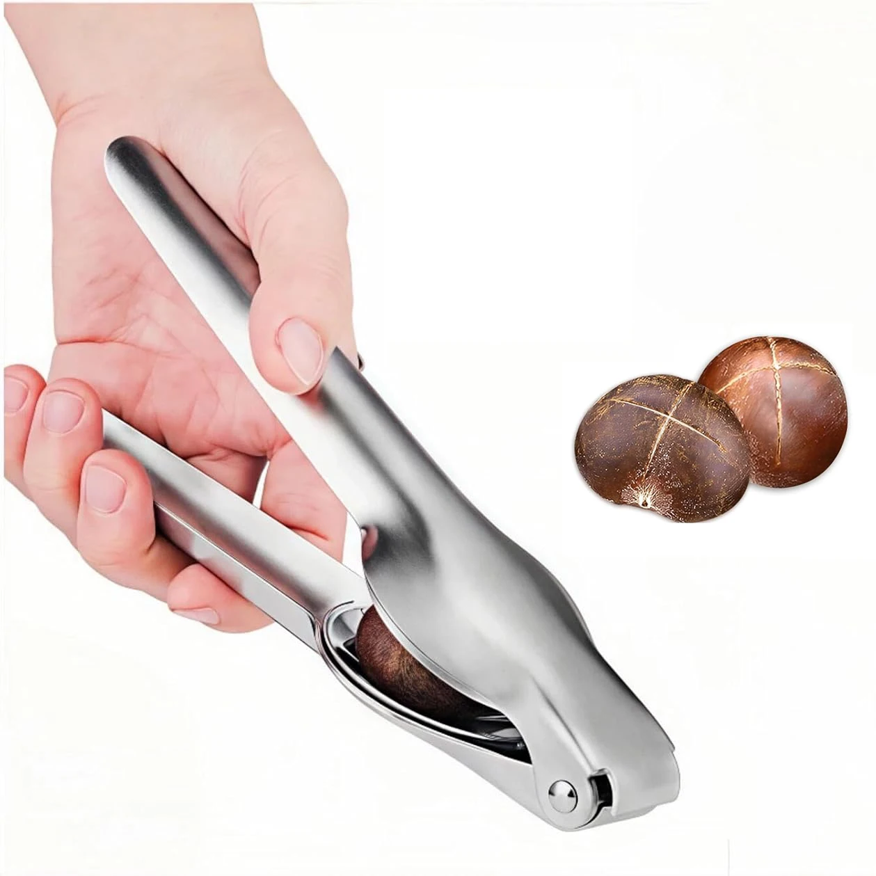 Apri-noci in Acciaio Inox per Castagne, Mandorle, Nocciole, Pistacchi, Noci, Apribottiglie, Utensile da Cucina Rapido e Senza Sforzo