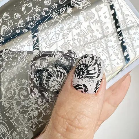 Mold  nail art  born pretty  stamping plate  nail stamp  nail stamper