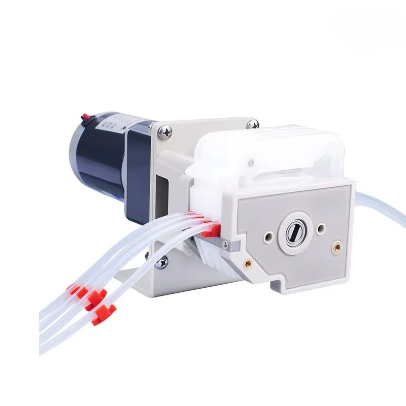 

Multi-Channel Small Liquid Transfer Peristaltic Pump OEM with DG Pump Head for Precision Fluid Delivery
