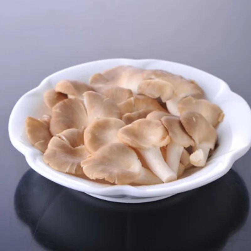 

2 Pcs Oil Adjustable 65Mm Shock Absorber Damper for Rc Car 1/18 WLtoys A959 A969 A979 K929 Hpi Hsp Trxs Losi Tamiya