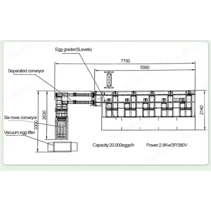 2000-30000 Hour Egg Grading Machine Industrial Egg Grader Poultry Weight Grading Sorting Machine Poultry Breeding Equipment