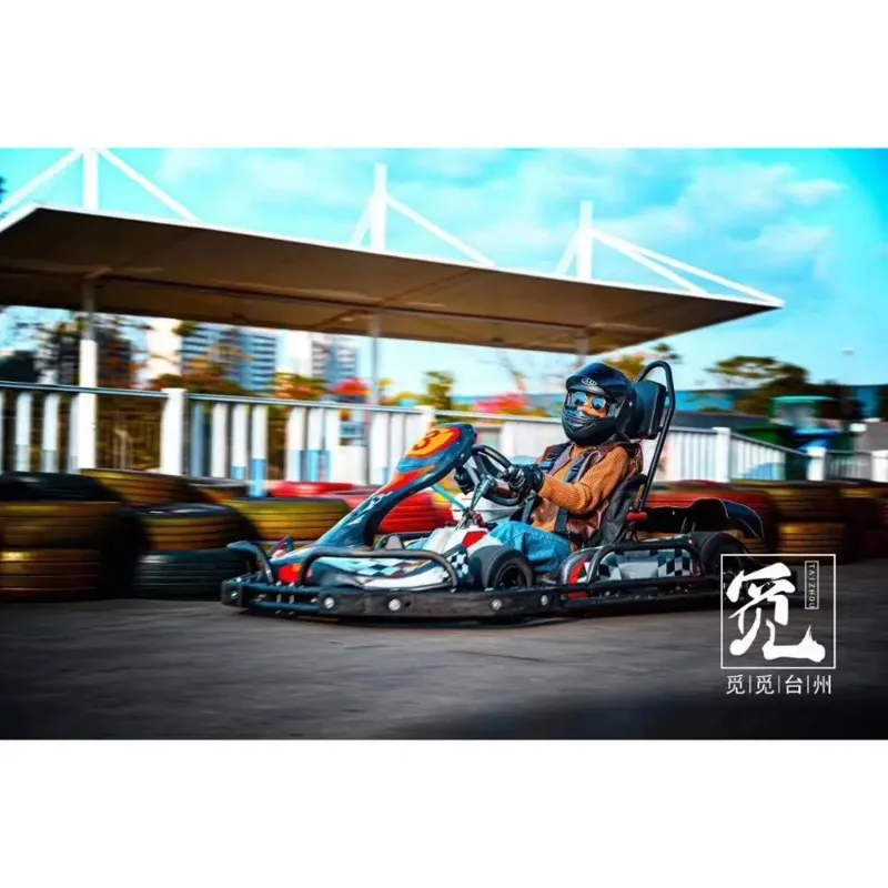 2021 newest CE Approved Cheap Price Racing Go Kart/Karting/Karting Cars for Sale