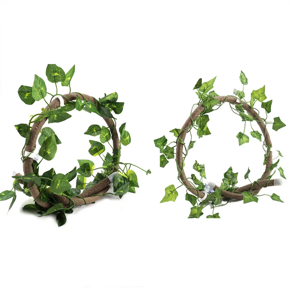 Reptile Climbing Br…