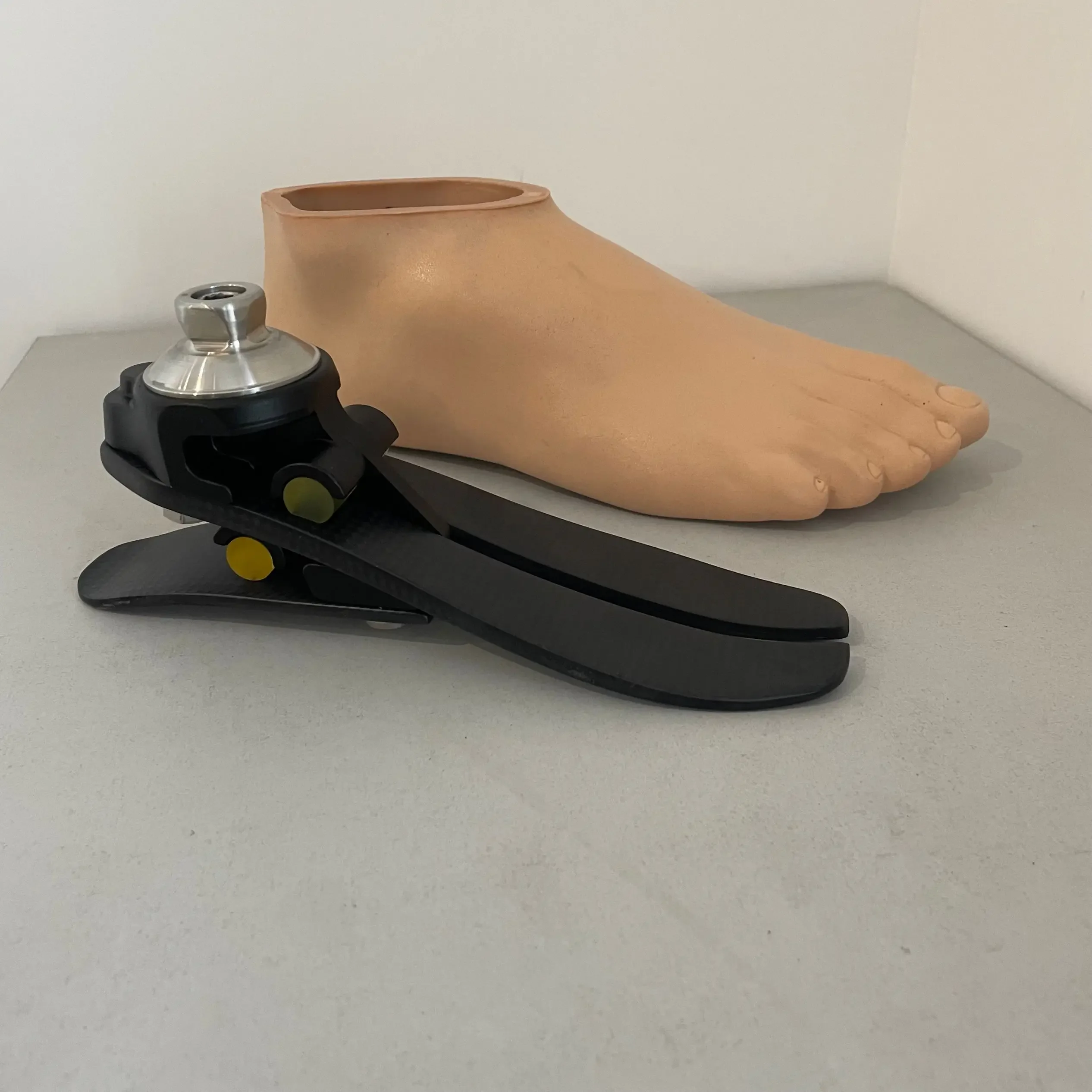 Prosthetic Foot Car… - image