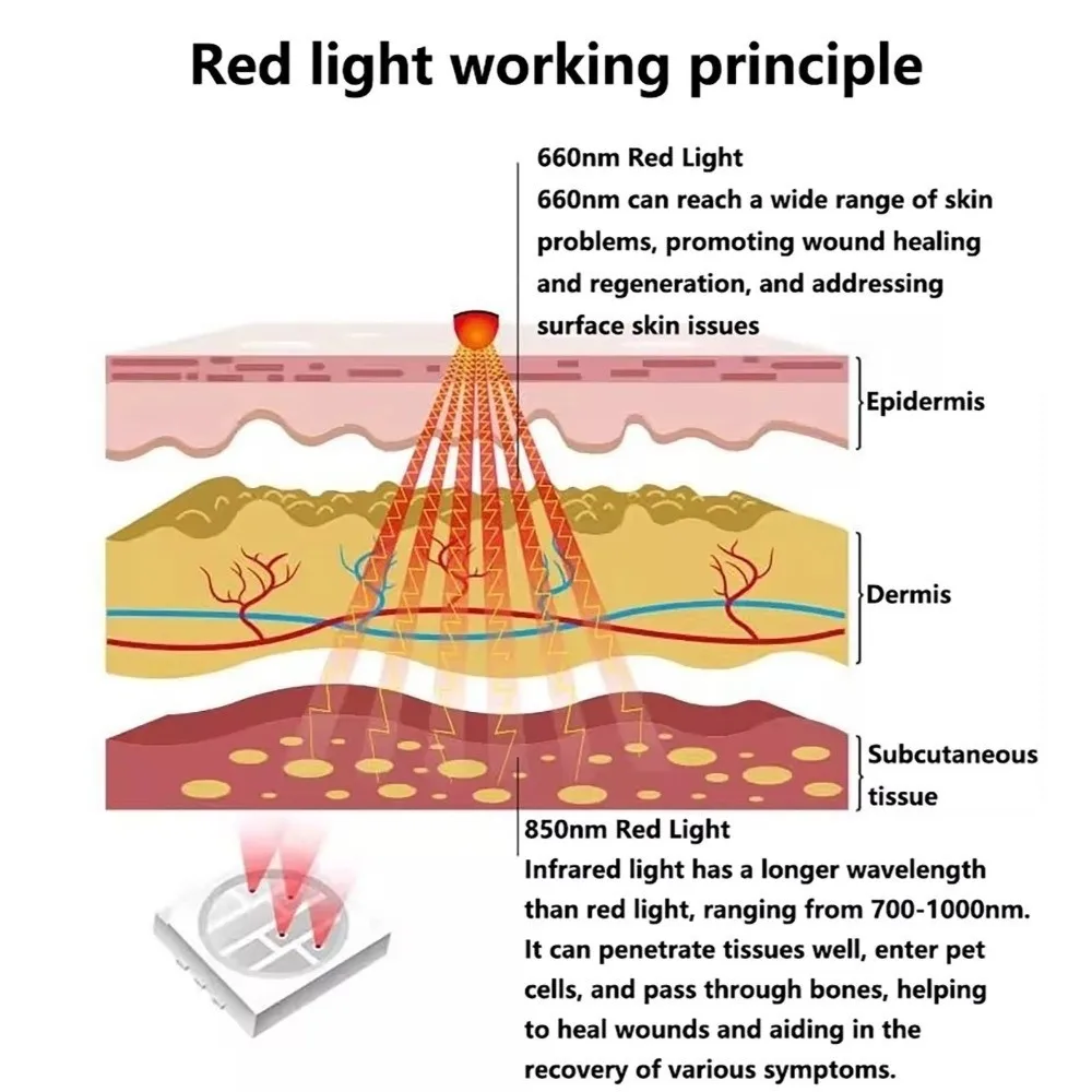 

Automatic Timing Pet Red Light Recovery Device LED Light Source Promote Circulation Pet Rehabilitation Sleeve Comfortable
